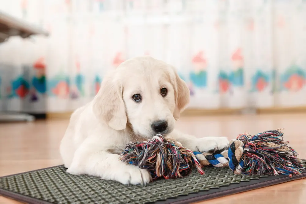 HealthyLine Pet Mat T 3220 Medium Firm PEMF InfraMat Pro - image 3