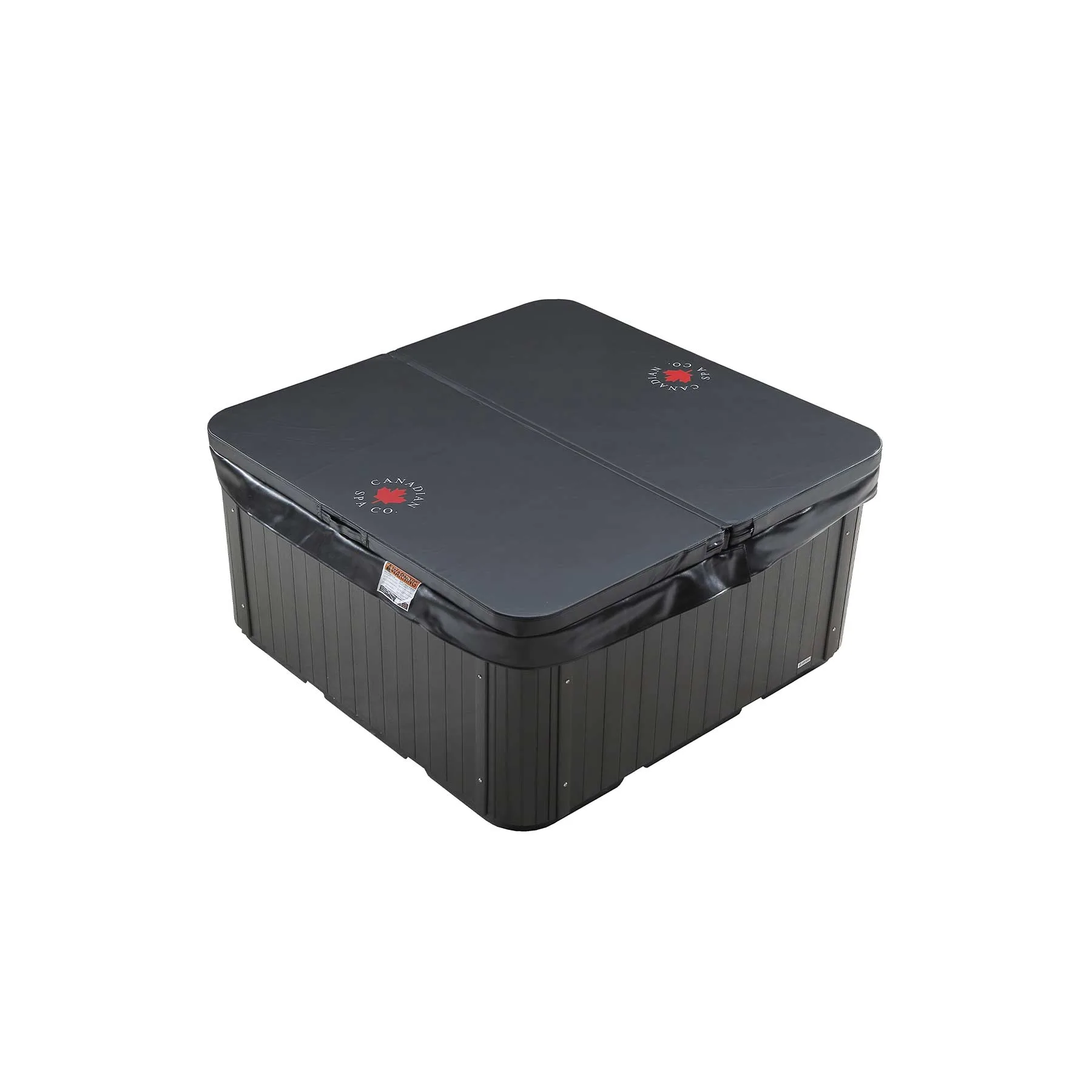 Canadian Spa Saskatoon 4 Person 12 Jetted 1 kW Spa Pool - image 4